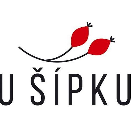 Dum U Sipku 호텔 Krásná Lípa 외부 사진